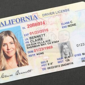 USA driver's licence